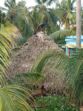 Hasya Cafe & Stay